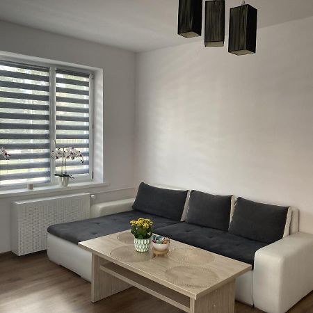 Apartament W Centrum Malborka Екстериор снимка