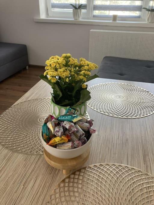Apartament W Centrum Malborka Екстериор снимка