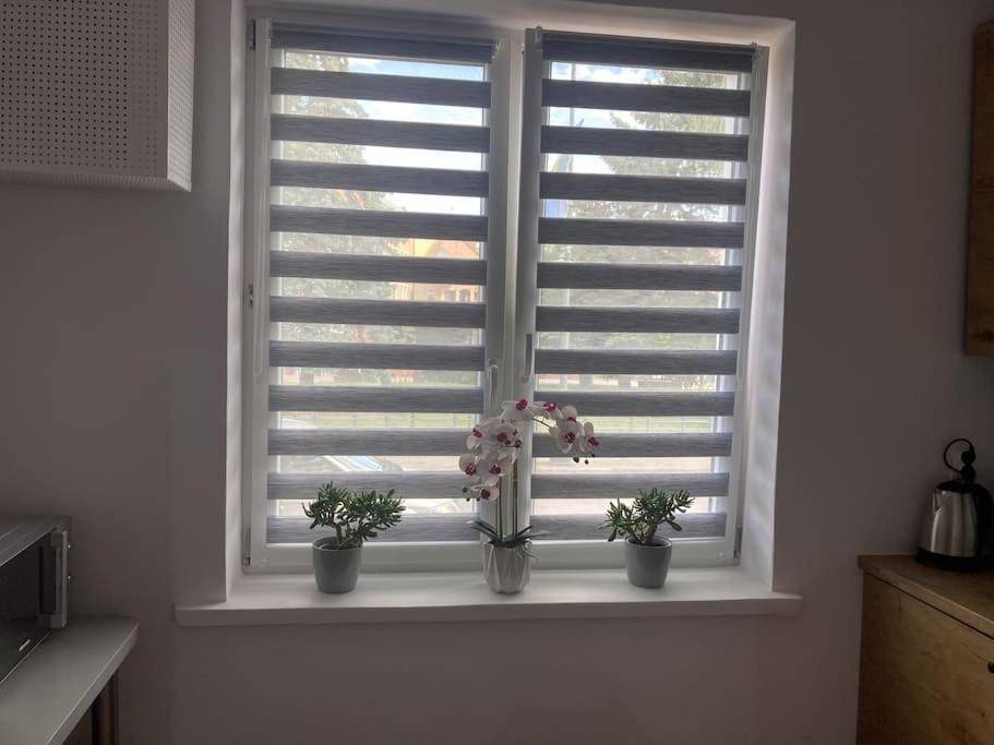 Apartament W Centrum Malborka Екстериор снимка