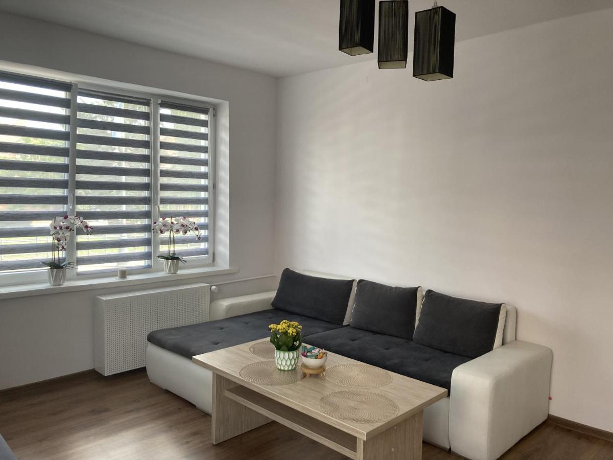 Apartament W Centrum Malborka Екстериор снимка